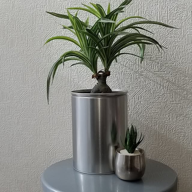 iquoさんの実例写真