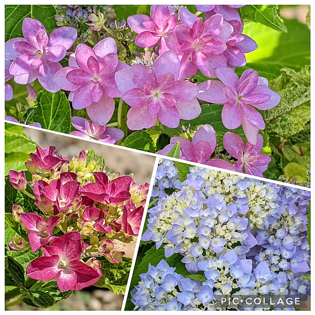 tabasaさんの実例写真
