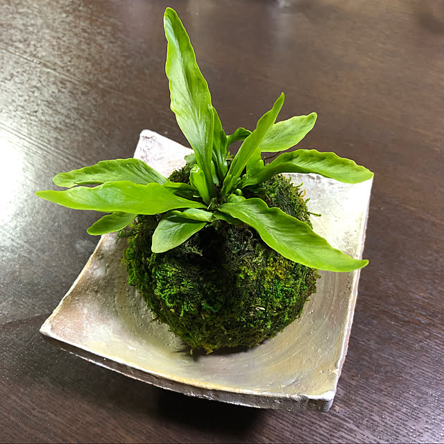 harugiさんの実例写真