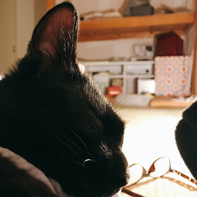 Machiさんの実例写真