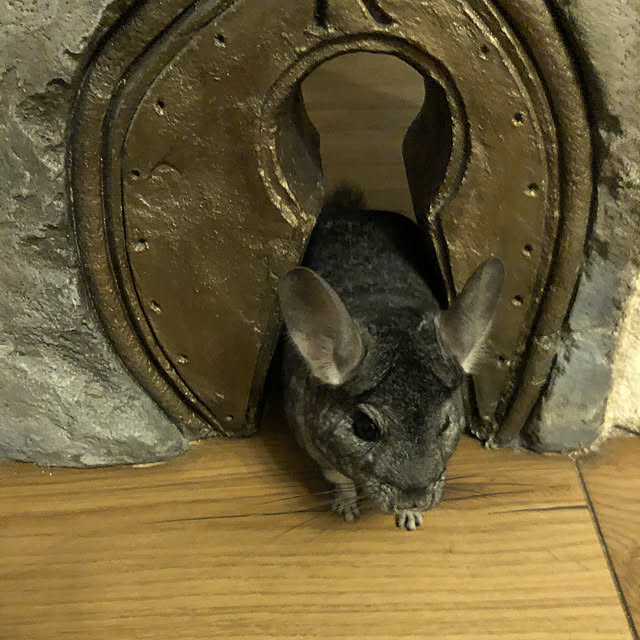 bambiさんの実例写真