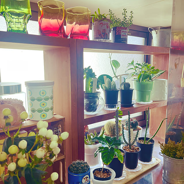 mamanさんの部屋