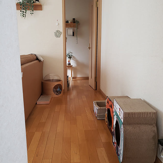 実例写真