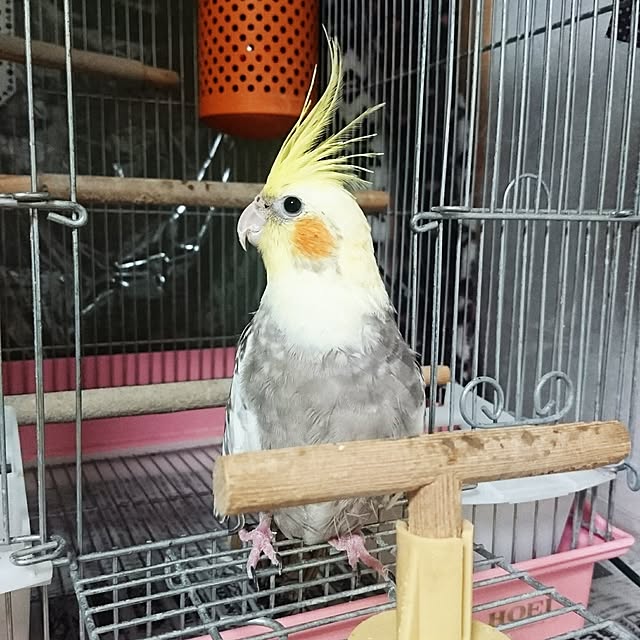 eiさんの実例写真