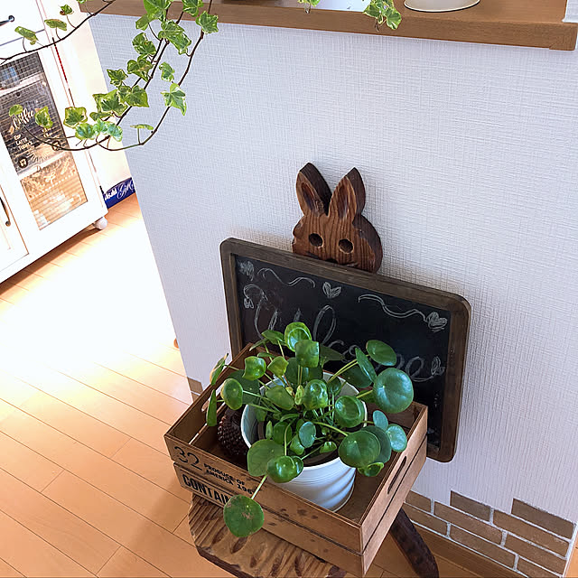 k.yuka29さんの実例写真