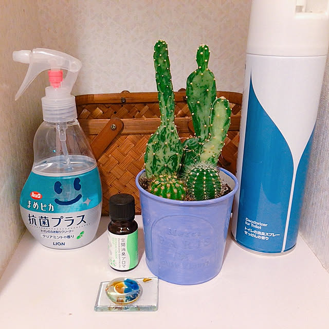 kyaoringさんの実例写真