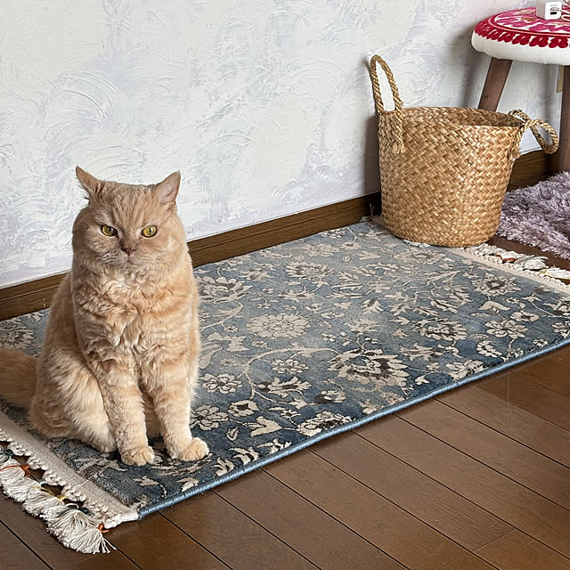 naokoさんの実例写真