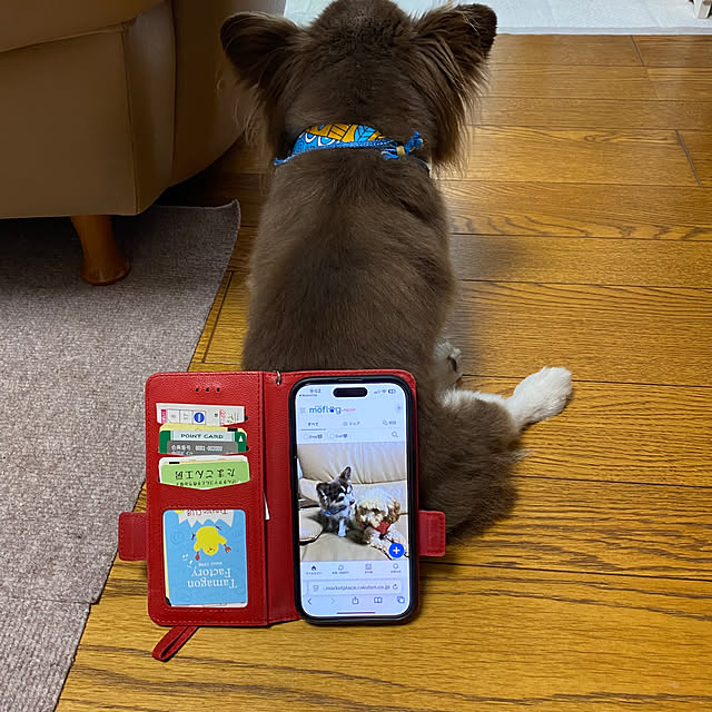 chIoeさんの部屋