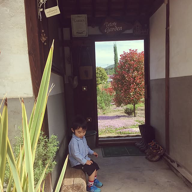 violetさんの実例写真