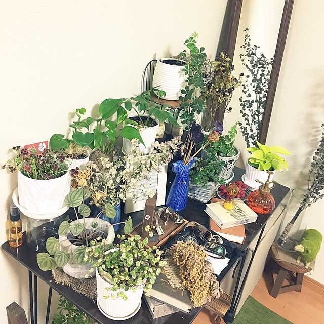 juboccoさんの実例写真