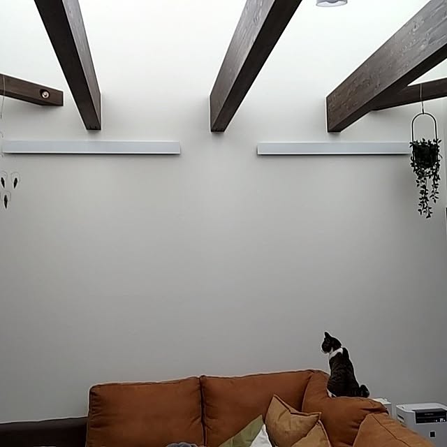 muniさんの実例写真