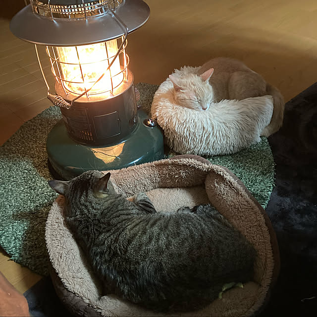 mikan161さんの実例写真