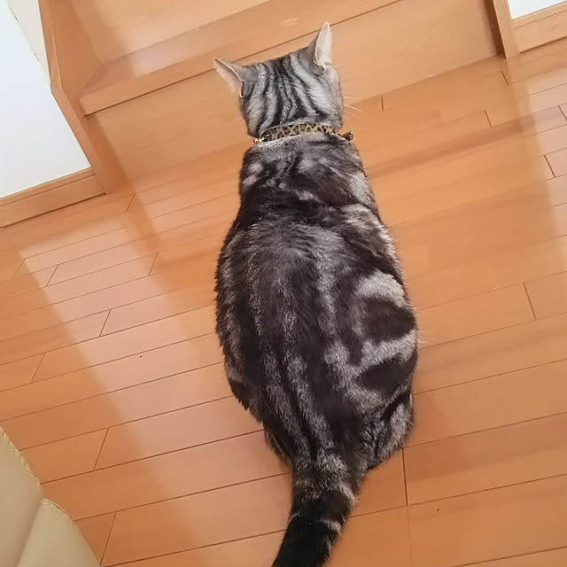 yuri.sさんの実例写真