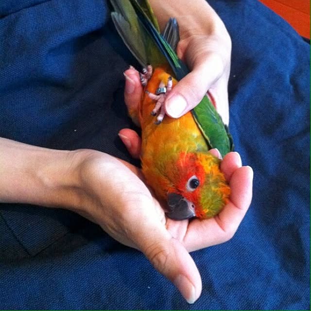 Atsushiさんの実例写真