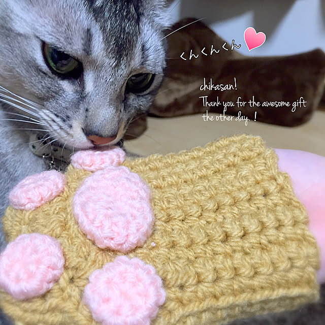 kotoriさんの実例写真