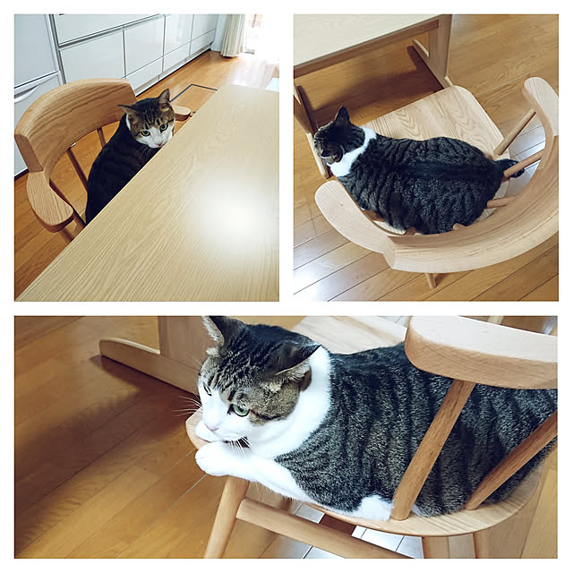 nachiさんの実例写真