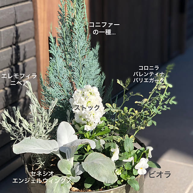 negichanさんの部屋