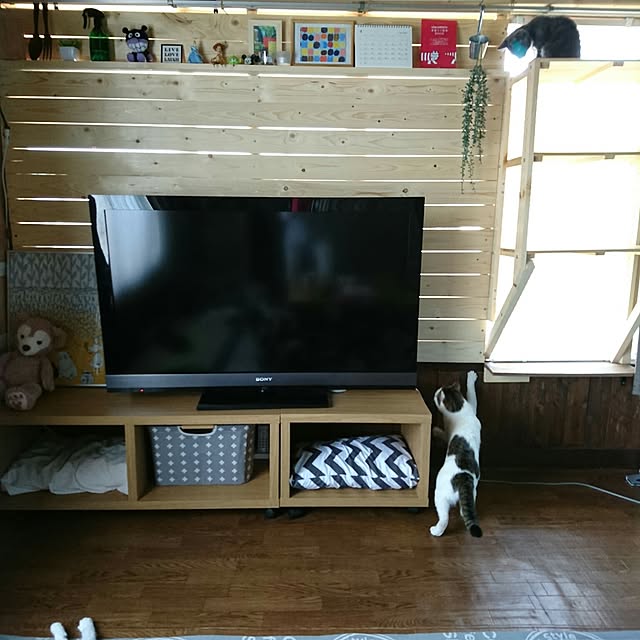 Marinyanさんの実例写真