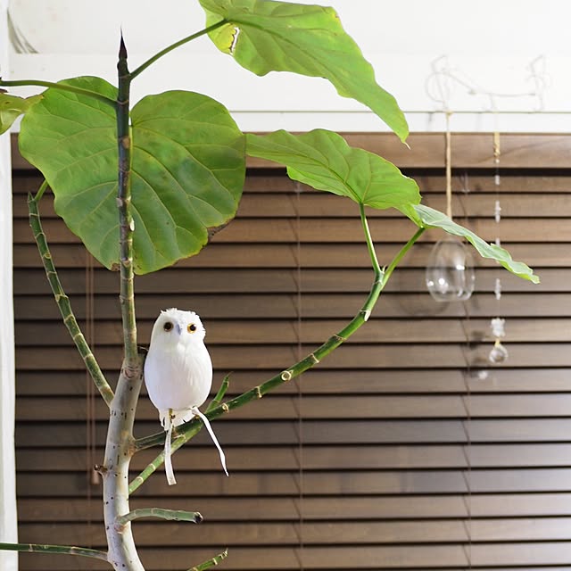 maronさんの実例写真