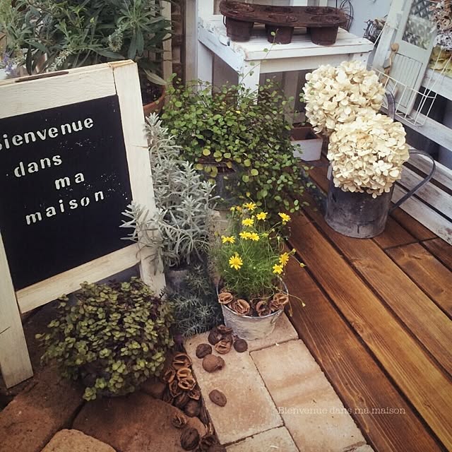 voyage.makiさんの実例写真