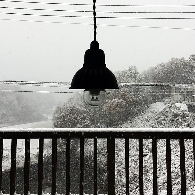 tsukiyuzuさんの実例写真