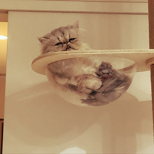 ryushinさんの実例写真