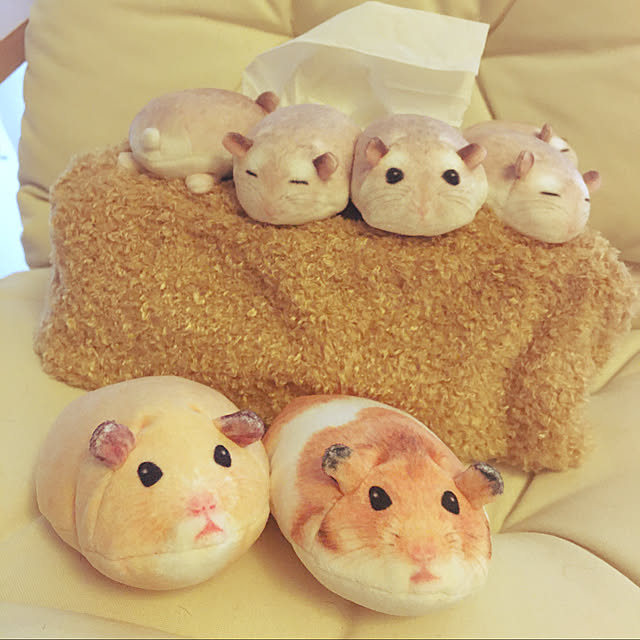 ohanaさんの実例写真