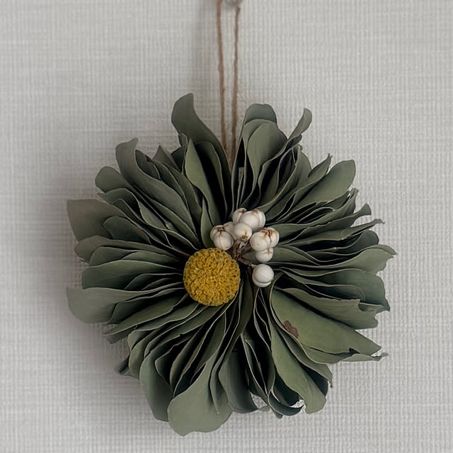 kokedamaさんの部屋