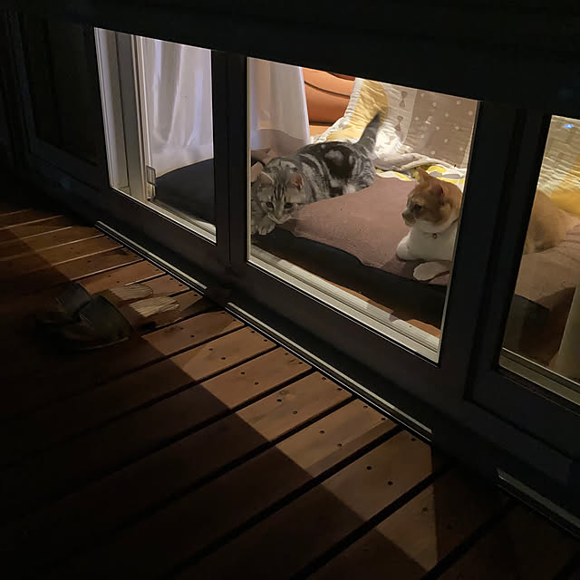 mkmkmoominさんの部屋
