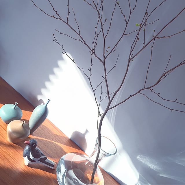bonjour.ayaさんの実例写真