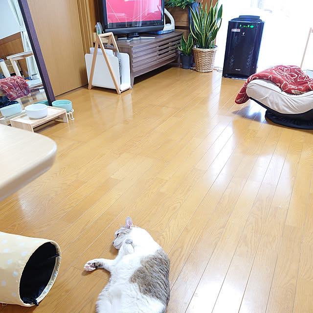 nachiさんの実例写真
