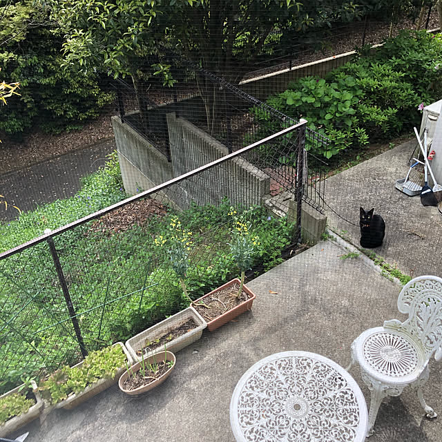 jijiさんの実例写真