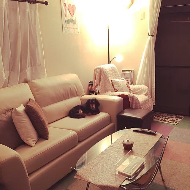 urucotoさんの実例写真