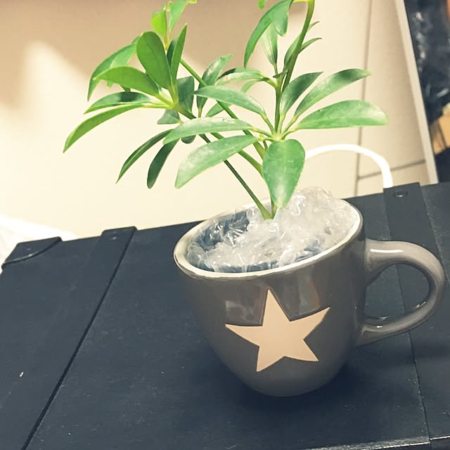 hp06030さんの実例写真