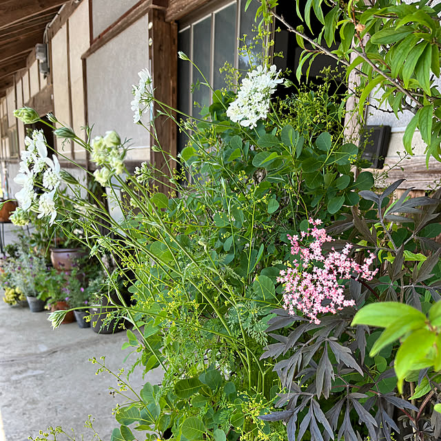 cota2さんの部屋