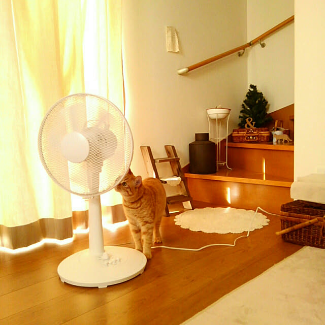 mayutan.さんの実例写真