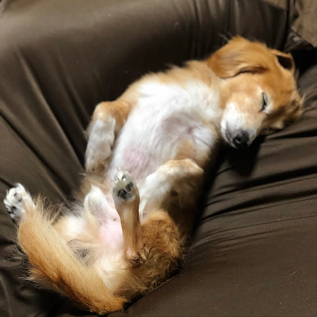 Kkさんの実例写真