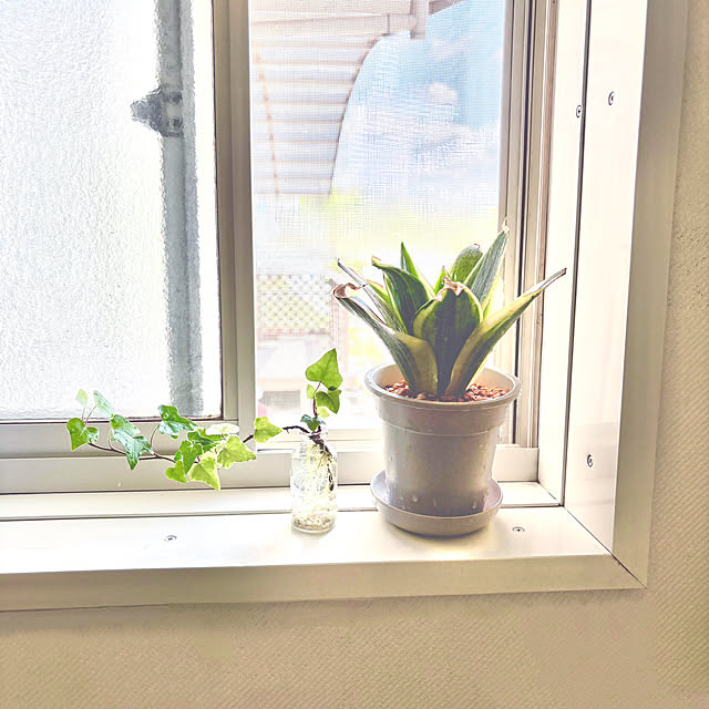 3setai_gurashiさんの実例写真