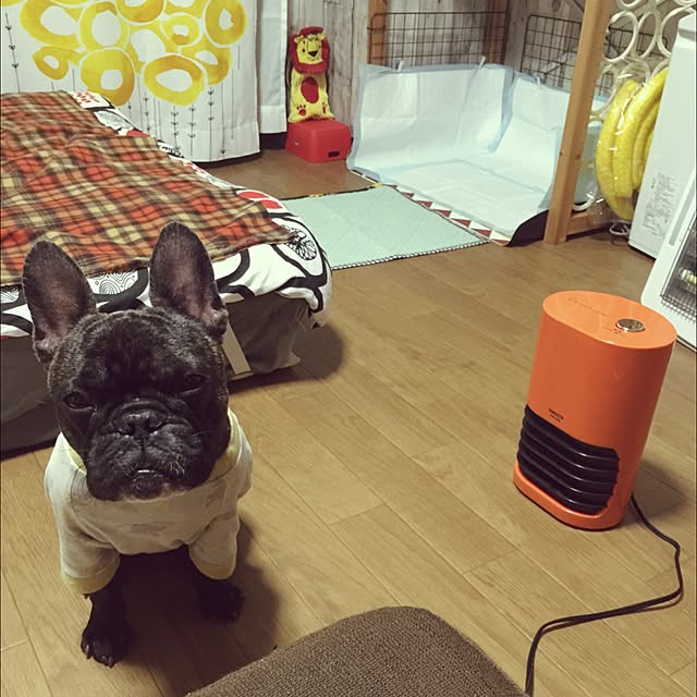 Mayumiさんの実例写真