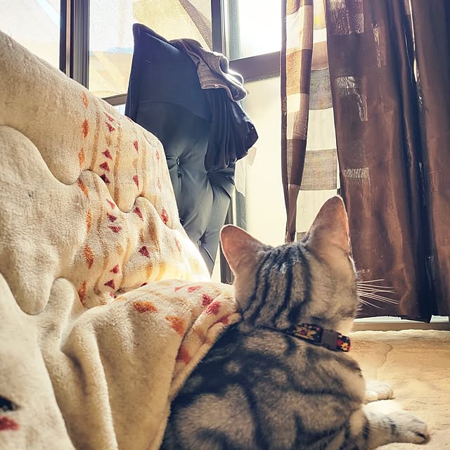 fruityanさんの実例写真