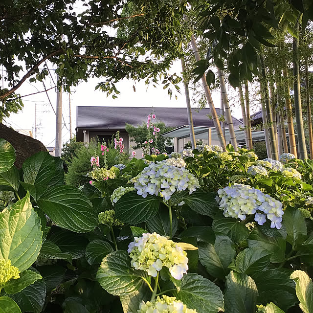 houenさんの部屋
