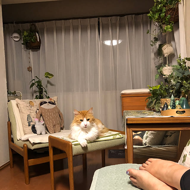 uchidaizuさんの実例写真