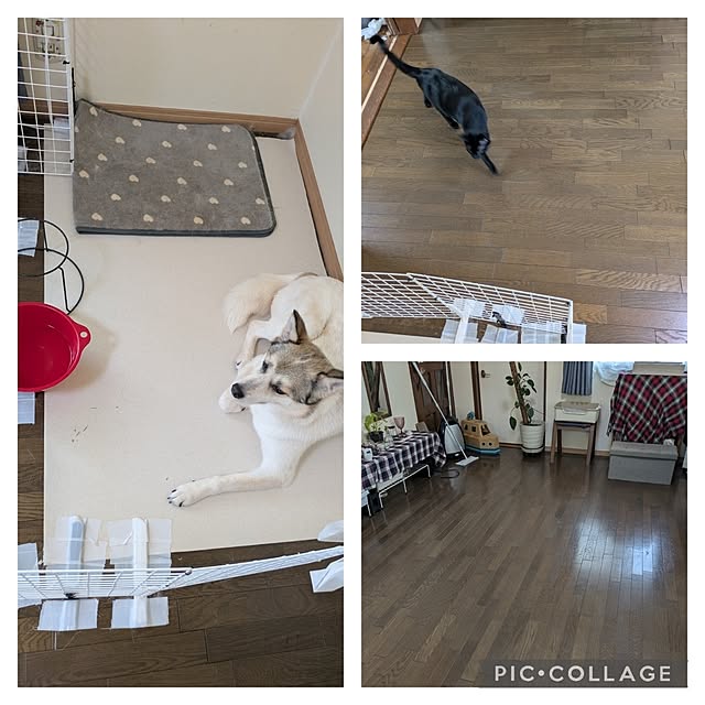 asaさんの部屋
