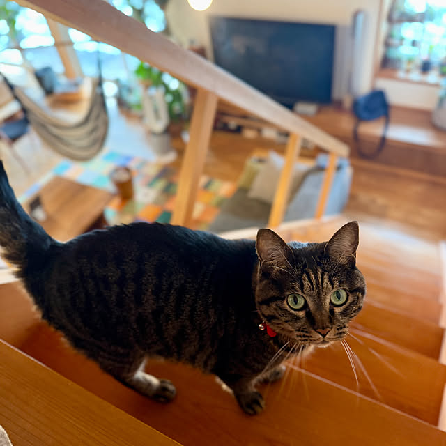 onsix777さんの部屋