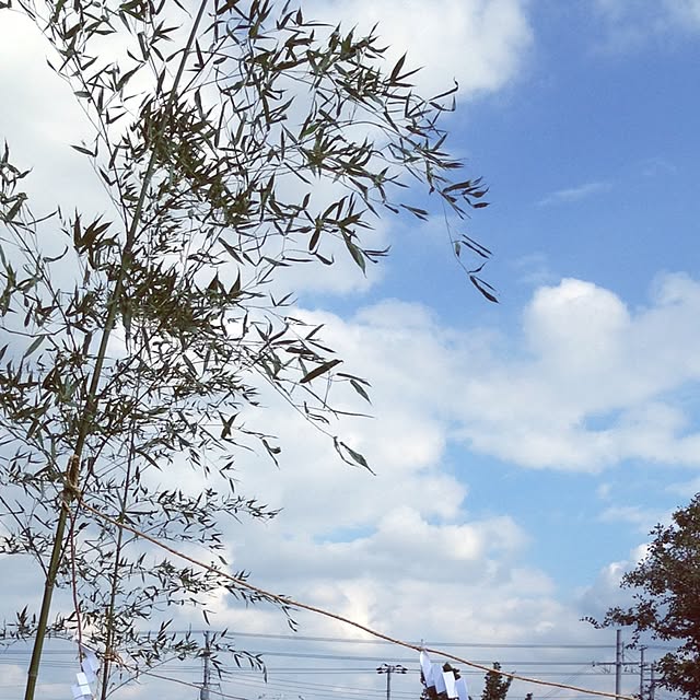 nae_chanさんの実例写真