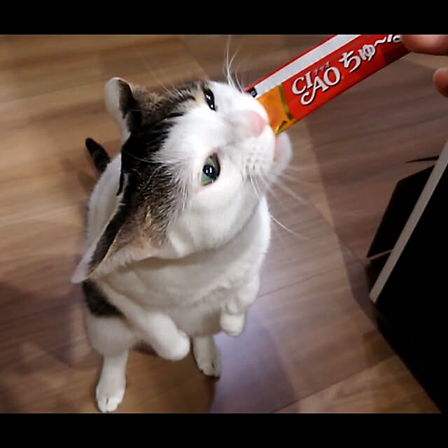 sunnyさんの実例写真