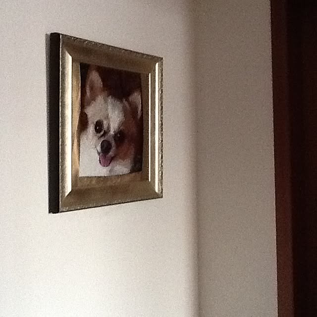 Sangoさんの実例写真