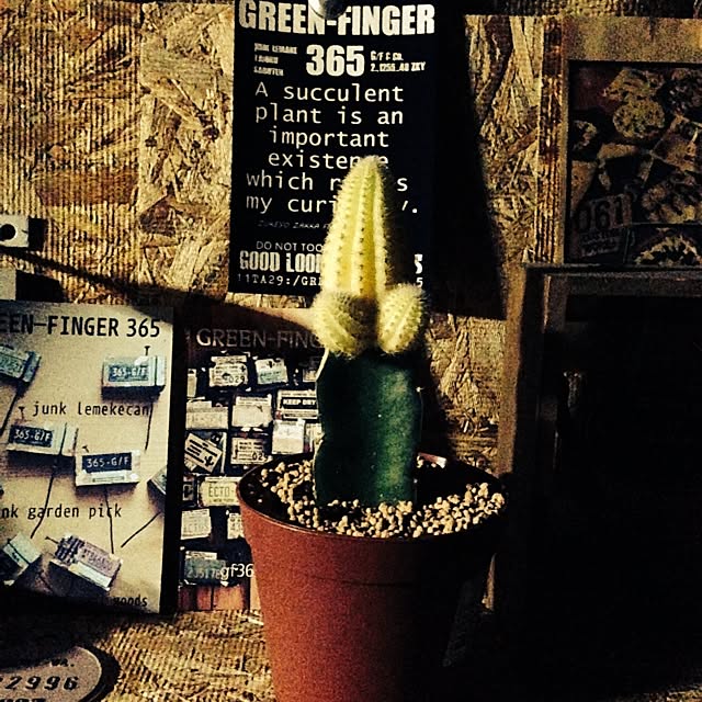 edenさんの実例写真