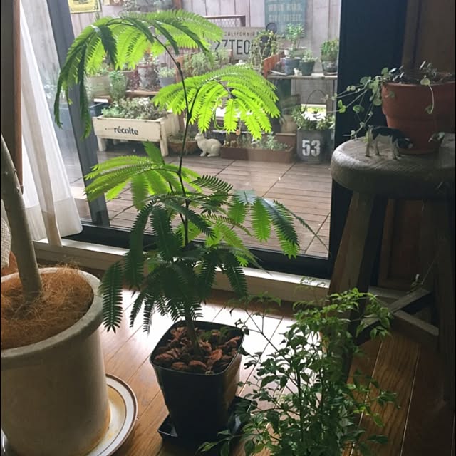 kaochanさんの実例写真