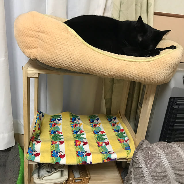 Machikoさんの実例写真